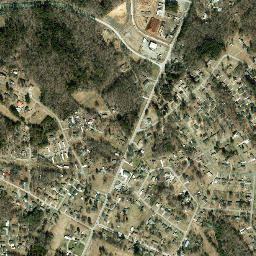 Green Level map(satellite map)