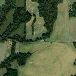 384 Mc Adams Rd, Greenfield, TN 38230 Satellite Map