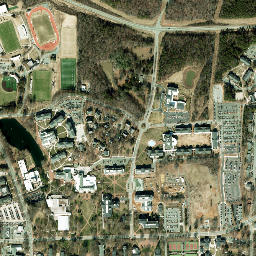 Elon map(satellite map)