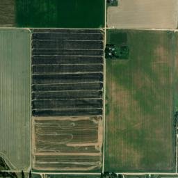 Morning Star Arkansas High Resolution Satellite Map