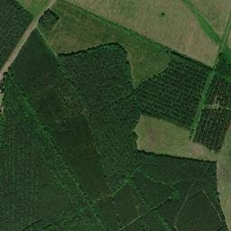 Bertie County map(satellite map)