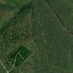 Windsor Bluff Tennessee High Resolution Satellite Map