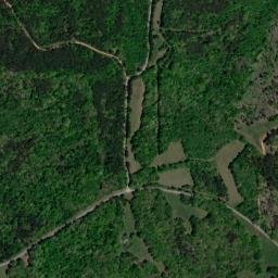 Pond Branch Tennessee High Resolution Satellite Map