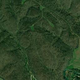 Wills Chapel Tennessee High Resolution Satellite Map