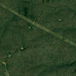 Salt Lick Tennessee High Resolution Satellite Map