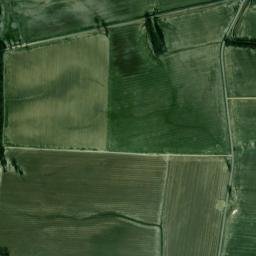 215 Hales Point Grainery Road Halls TN High Resolution Satellite Map