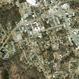 Archdale map(satellite map)