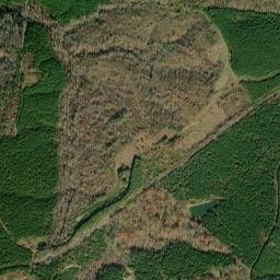 Rodemer Tennessee High Resolution Satellite Map