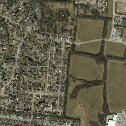 Ravenwood Tennessee High Resolution Satellite Map