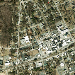 Thomasville map(satellite map)