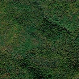 Licklog Tennessee High Resolution Satellite Map