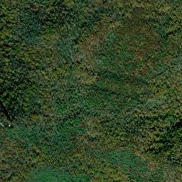 Finney Patch Tennessee High Resolution Satellite Map