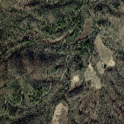 Wasp Tennessee High Resolution Satellite Map