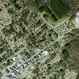 Williamston map(satellite map)