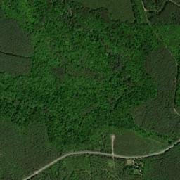 Thomas Springs Tennessee High Resolution Satellite Map