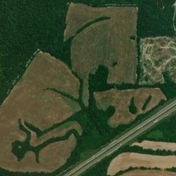 Interstate 40, Holladay, TN 38341, USA High Resolution Satellite Map