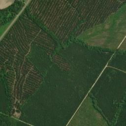 2393 North Carolina 33, Tarboro, NC High Resolution Satellite Map