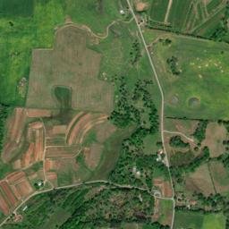 Bluff Springs Tennessee High Resolution Satellite Map