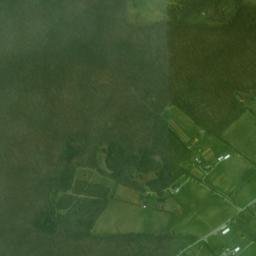 Lake Shadow Tennessee High Resolution Satellite Map