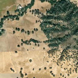 Bryson California High Resolution Satellite Map