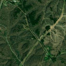 Hickman County map(satellite map)
