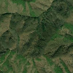 Ina-shi map(satellite map)