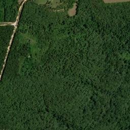 Health Arkansas High Resolution Satellite Map