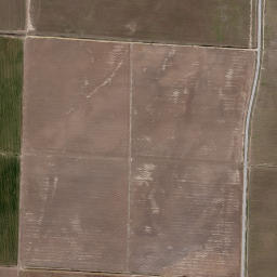 Elm Grove Arkansas High Resolution Satellite Map