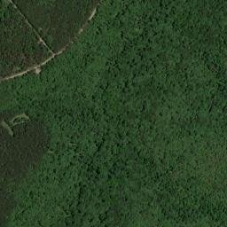 West Cobb Arkansas High Resolution Satellite Map