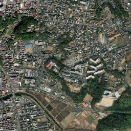 Sakura map(satellite map)