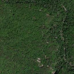 Scenic Loop Road, Pikeville, TN 37367 High Resolution Satellite Map