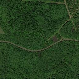 Freeman Springs Arkansas High Resolution Satellite Map