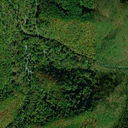 Elkmont Tennessee High Resolution Satellite Map