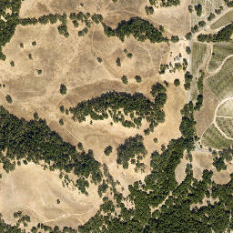 Adelaida California High Resolution Satellite Map