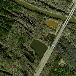 Falkland NC America High Resolution Satellite Map