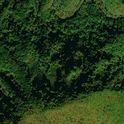 Tremont Tennessee High Resolution Satellite Map