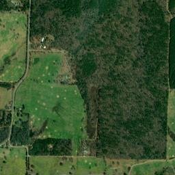 Brownsville Arkansas High Resolution Satellite Map