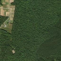 Curtistown Tennessee High Resolution Satellite Map