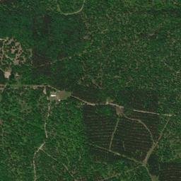 Silex Arkansas High Resolution Satellite Map