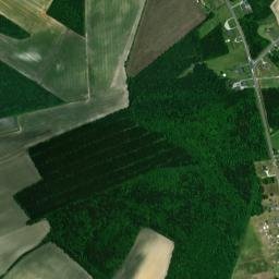 Greene County map(satellite map)