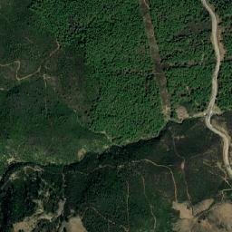 Zinat map(satellite map)