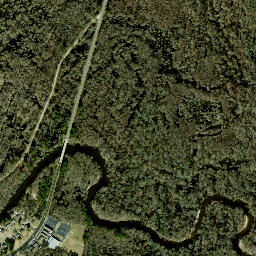 451-945 Hwy 123 N, Hookerton, NC 28538 High Resolution Satellite Map