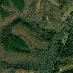 Turkey Track Tennessee High Resolution Satellite Map