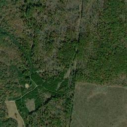 Bergmantown Tennessee High Resolution Satellite Map