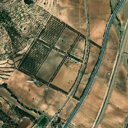 Aïn El Berd District map(satellite map)