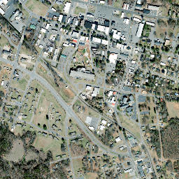 Forest City map(satellite map)