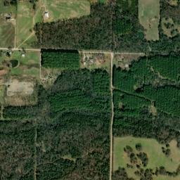 Lone Grove Arkansas High Resolution Satellite Map