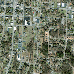 Dallas map(satellite map)