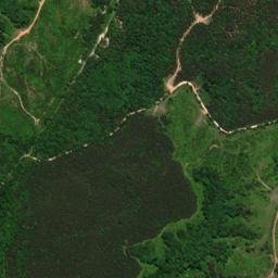 Pine Top Tennessee High Resolution Satellite Map