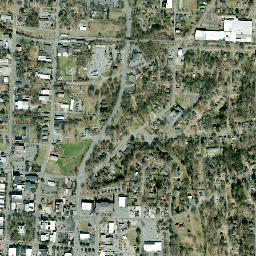 Shelby map(satellite map)